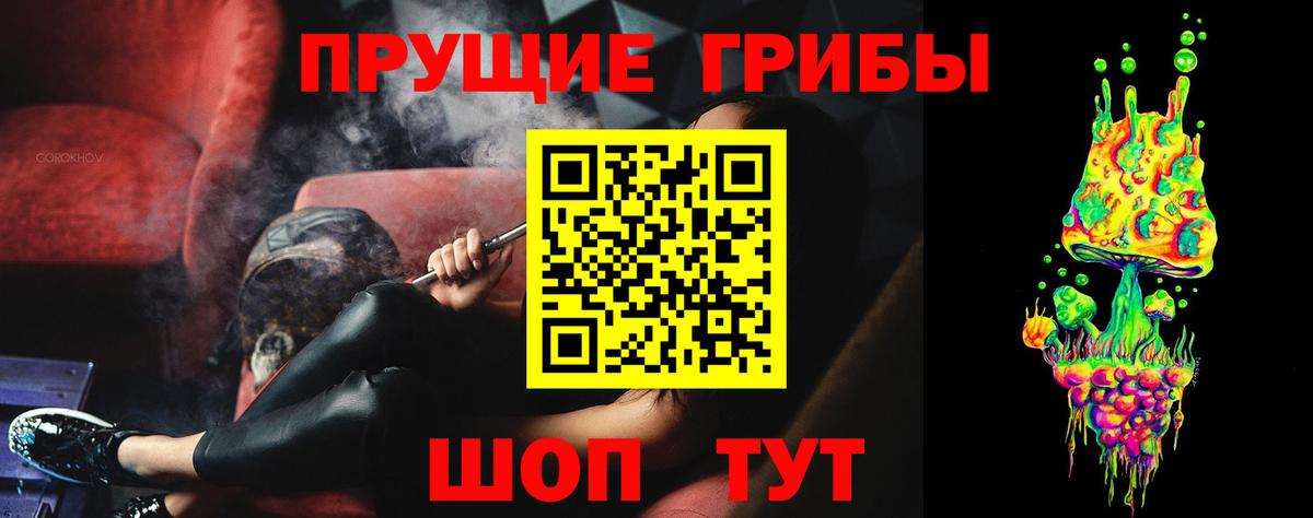 Псилоцибиновые грибы Cubensis  Вход с VPN  Саяногорск  Псилоцибиновые грибы Cubensis 